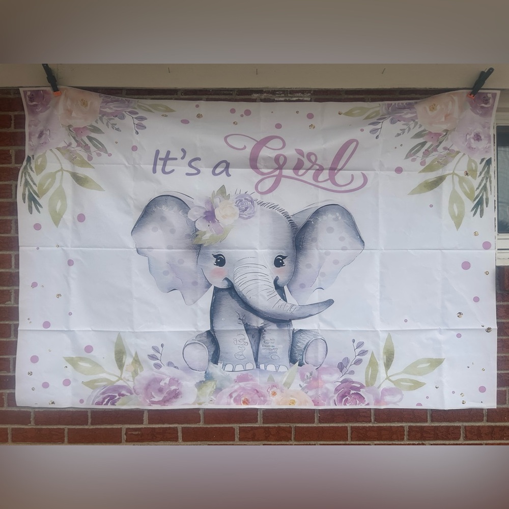 It’s A Girl, elephant Baby Shower Backdrop #3, 
4 x 6, pastel watercolor.